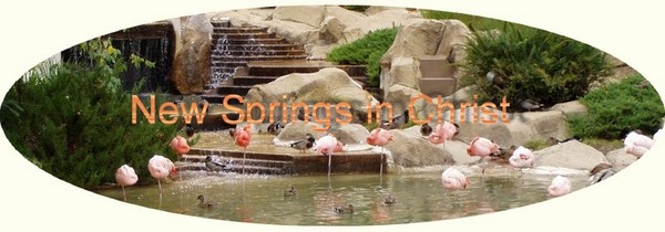 newsprings.seranates.com